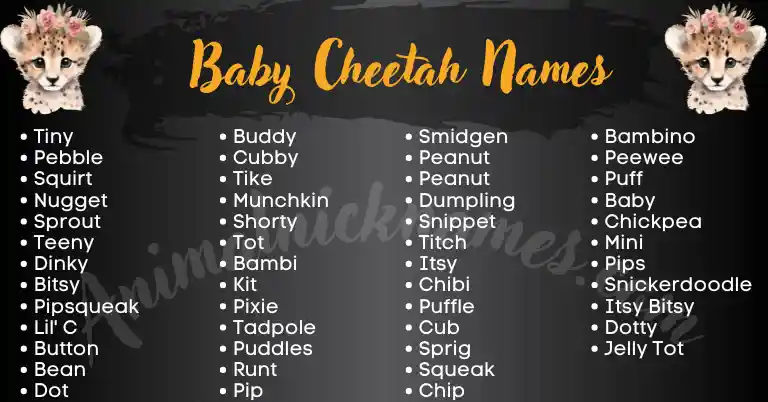 Baby Cheetah Names