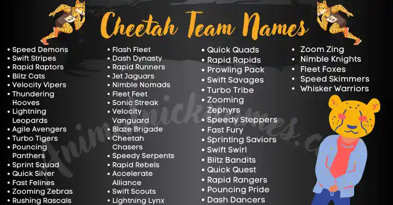 Cheetah Team Names