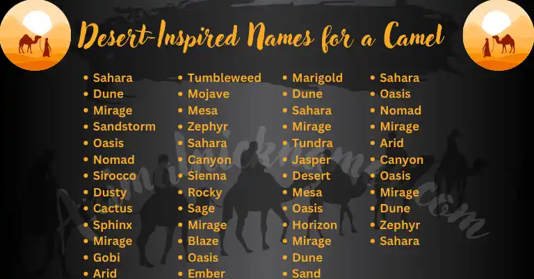 Desert Inspired Names for Camel