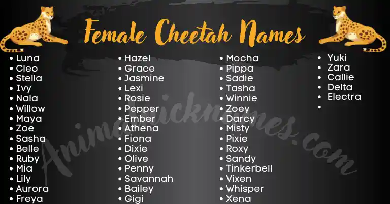 Female Cheetah Names