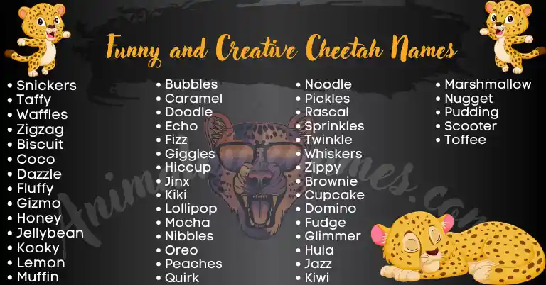 Funny and Creative Cheetah Names