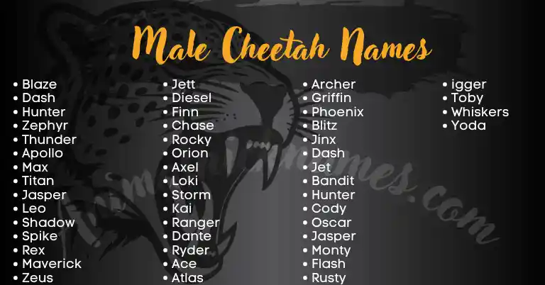 Male Cheetah Names