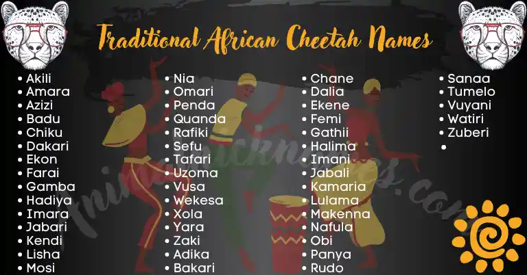 Traditional African Cheetah Names