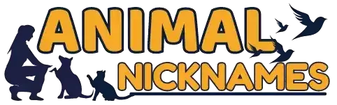 Animal Nicknames