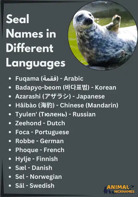 Seal Names in Different Languages