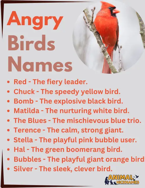 Angry Birds Names