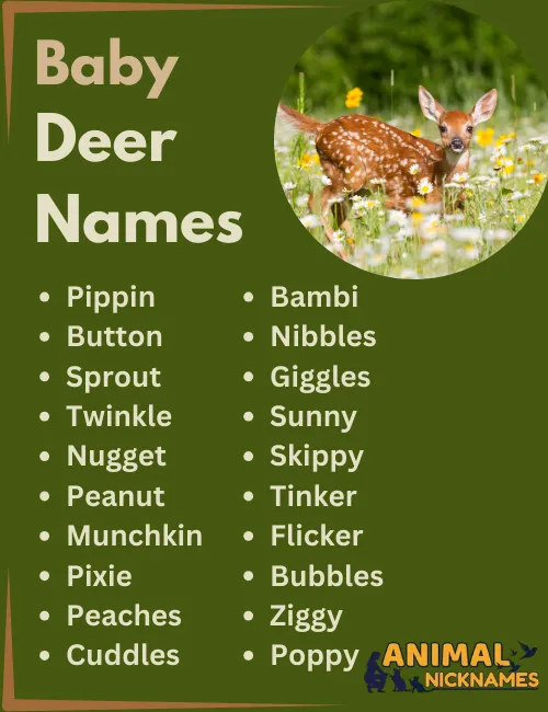 Baby Deer Names