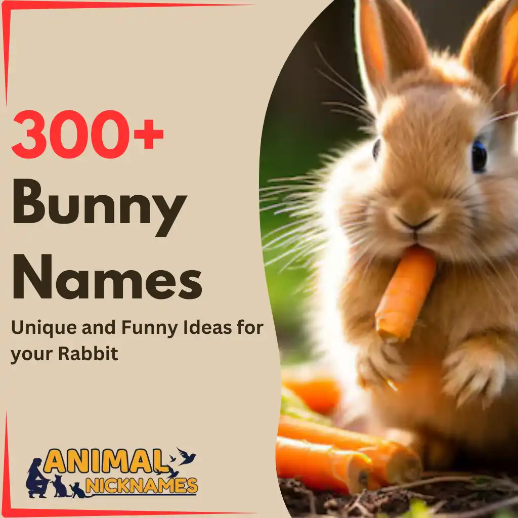 Bunny Names