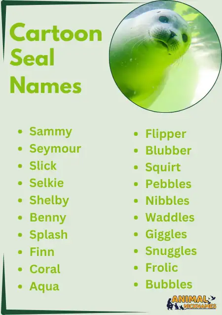 Cartoon Seal Names