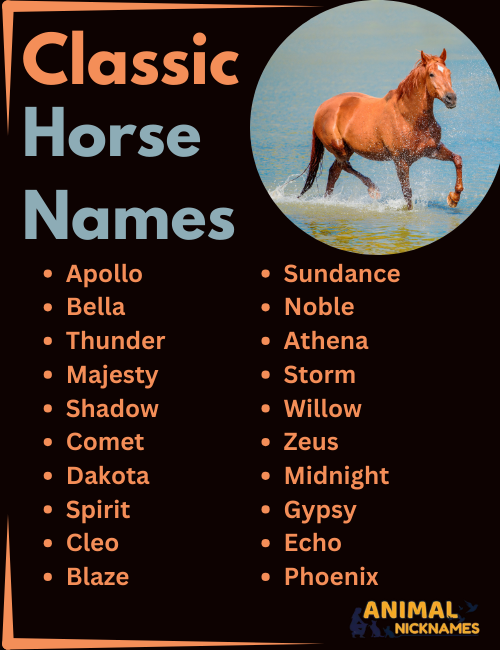 Classic Horse Name