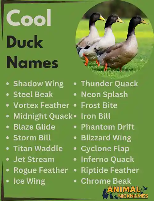 Cool Duck Names