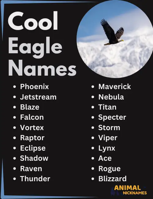 Cool Eagle Names