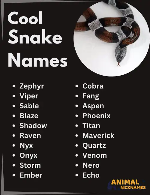 Cool SNake Names