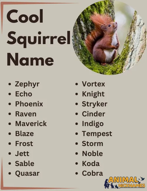 Cool Squirrel Names