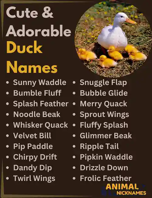 Cute & Adorable Duck Names