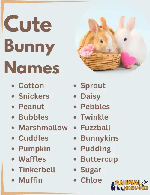 Cute Bunny Names