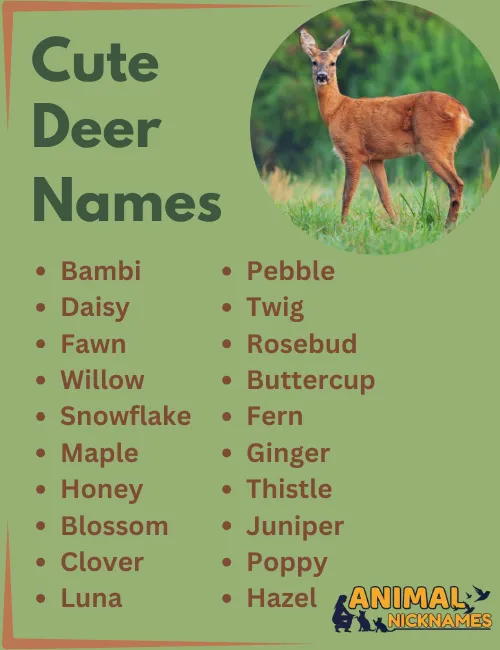 Cute Deer Names