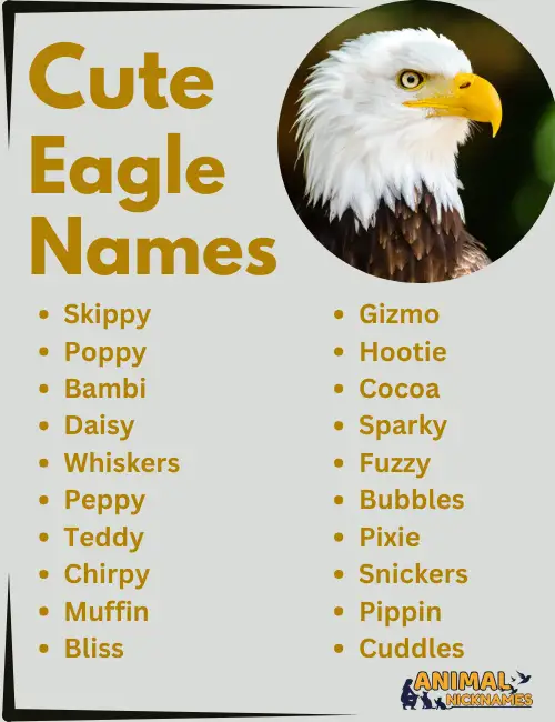 Cute Eagle Names