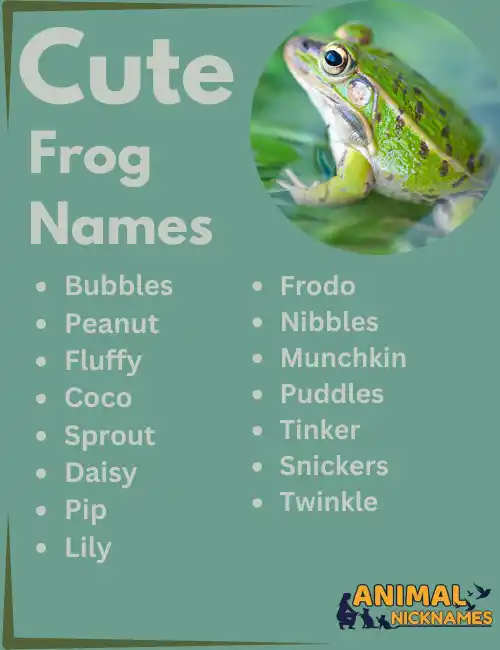 Cute Frog Names