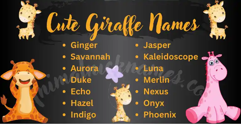 Cute Giraffe Names