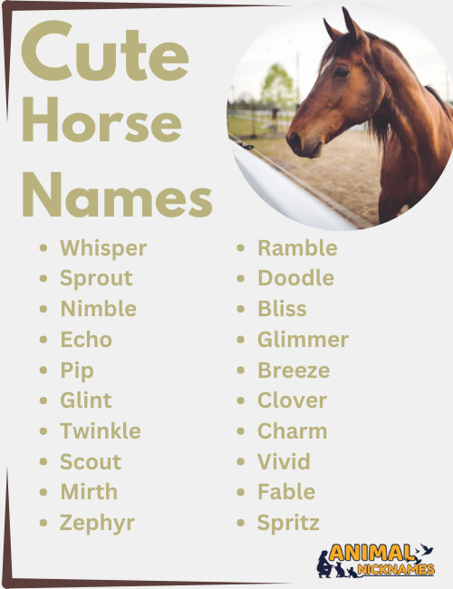 Cute Horse Name