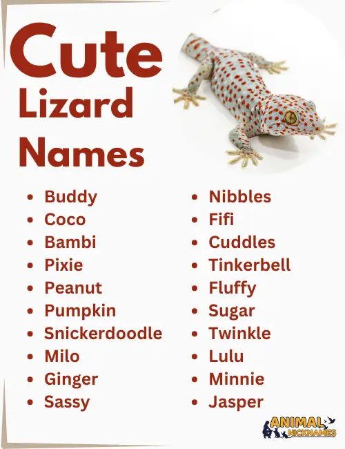 Cute Lizard Names