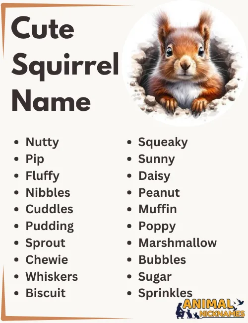 450+ Funny, Cool, and Creative Squirrel Names [Best Ideas]