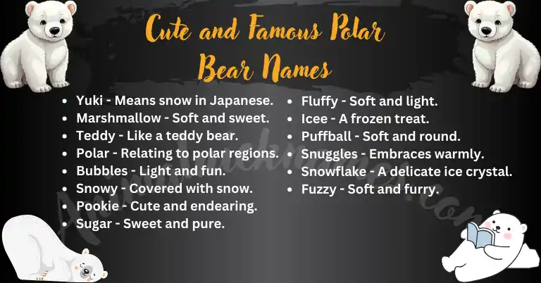 Cute and Famous Polar Bear Names