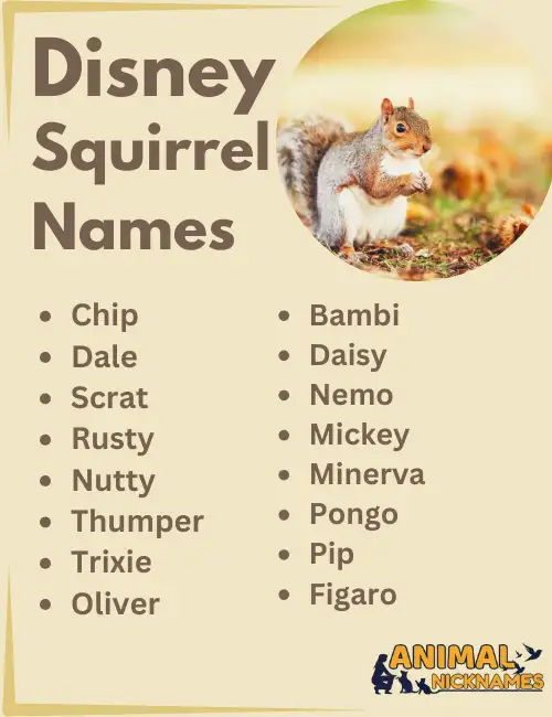 Disney Squirrel Names