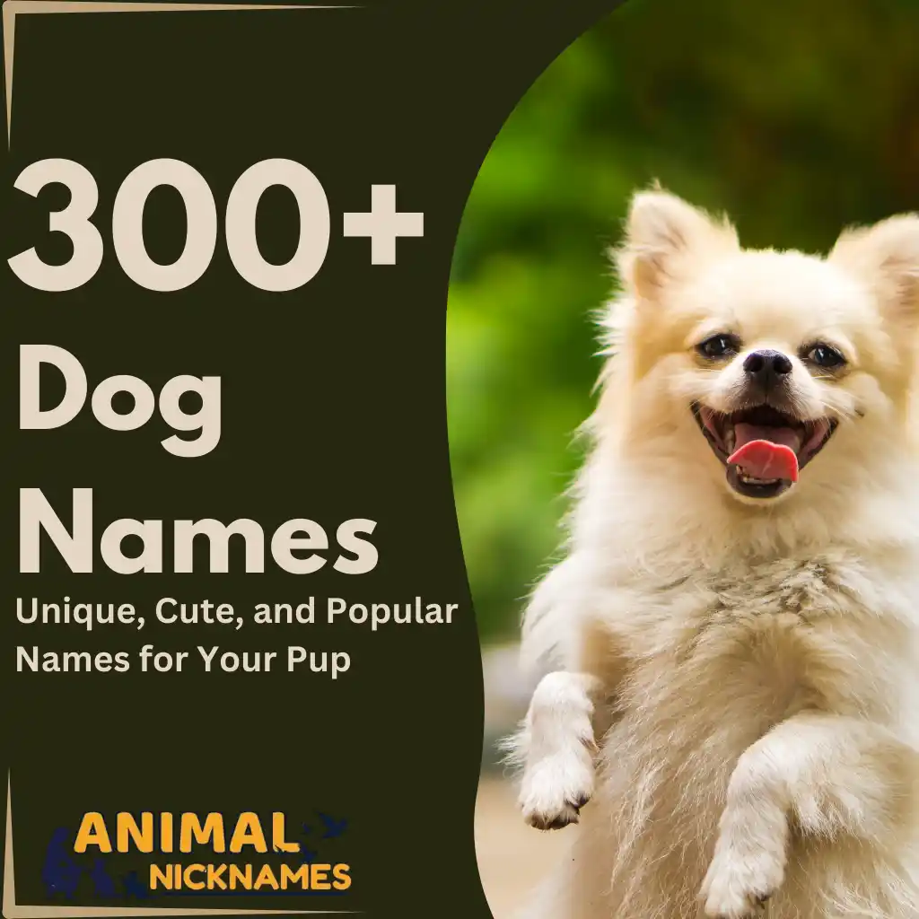 Dog Names