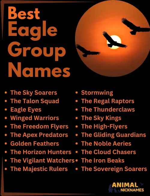 Eagle group Names