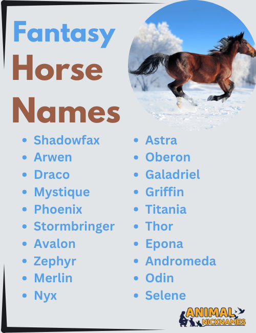 Fantasy Horse Names