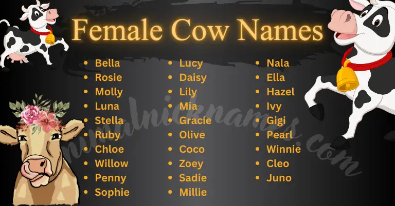 Female Cow Names