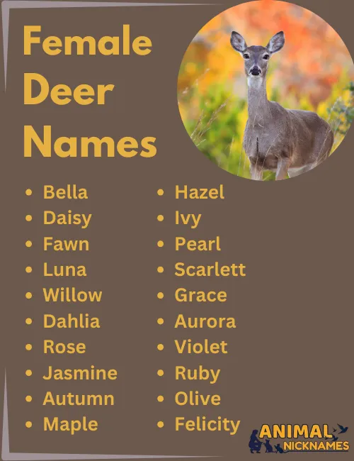 Female Deer Names