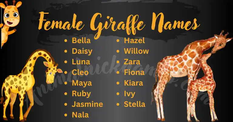 Female Giraffe Names