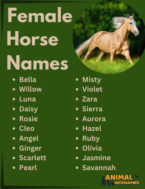 Female Horse Name