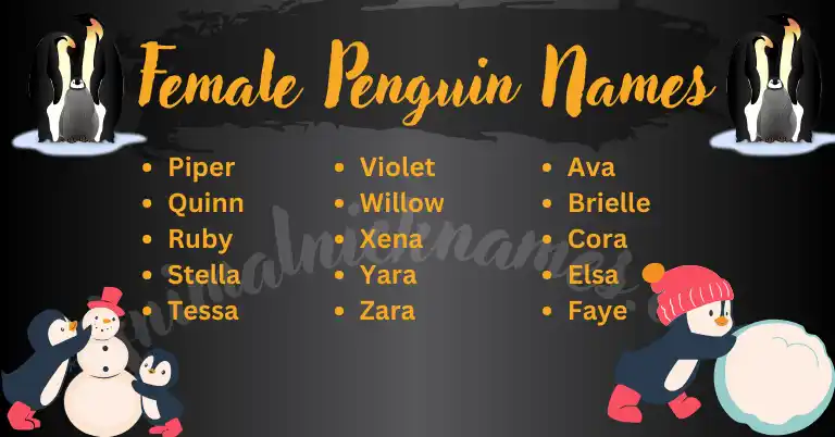 Female Penguin Names