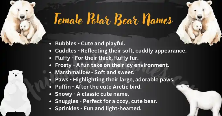 Female Polar Bear Names