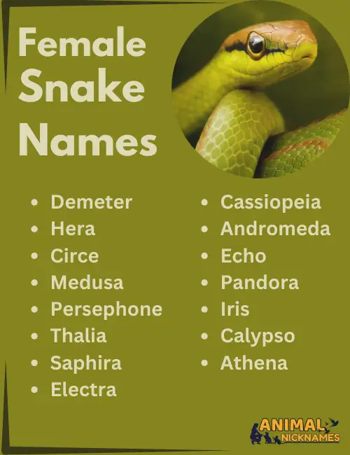 Female Snake names