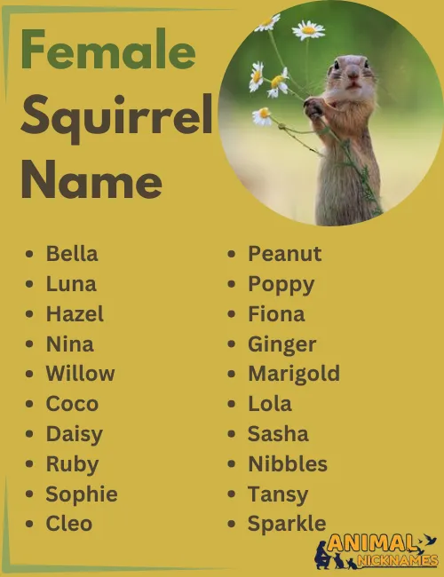 Female Squirrel Names