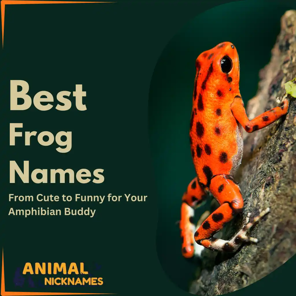 Best 400+ Catchy Frog Names [Perfect Ideas for Jumpy Friend]