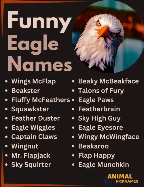 Funny Eagle Names