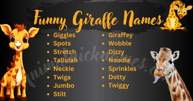 Funny Giraffe Names