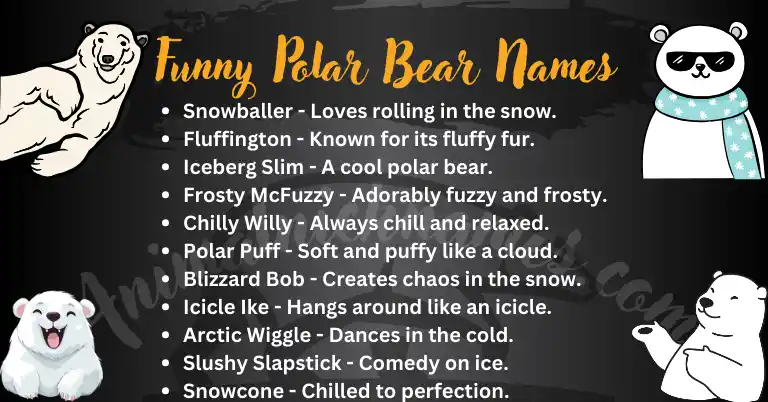 Funny Polar Bear Names