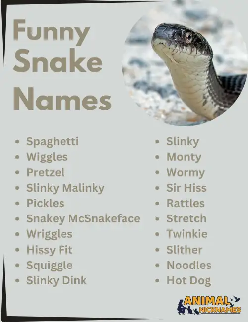 Funny Snake names