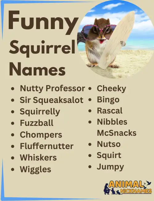 Funny Squirrel Names