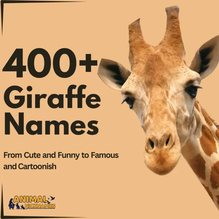 Giraffe Names_6_11zon