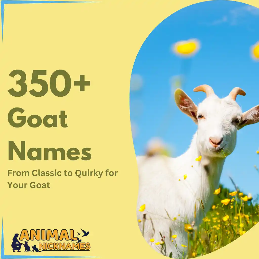 Goat Names