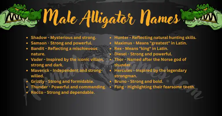 Male Alligator Names