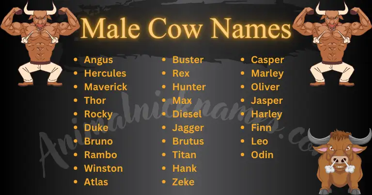 Male Cow Names